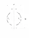FALTU Micro Dual Wall Light Dimensions.webp