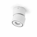 SASIN Small Surface | S243