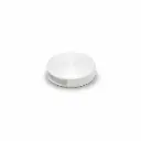 FALTU Button Single | F341